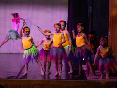 Flower, Leotard tutu and head band