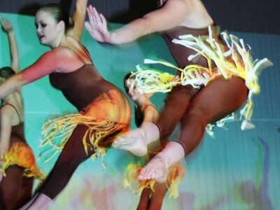 Brown Unitard with Skirts