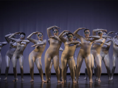 Silver long sleeve Unitards