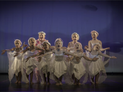 White Fairy Dresses with Wings & Tiara